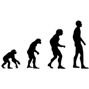 evolution