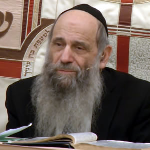 Rabbi Mintz